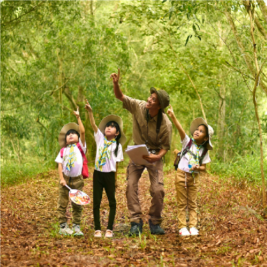Jungle School Programme