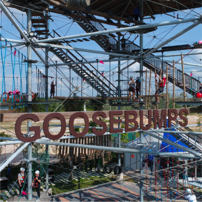 Goosebumps Rope Course