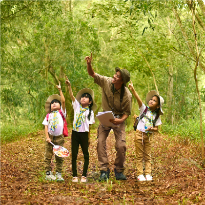 Jungle School Program
