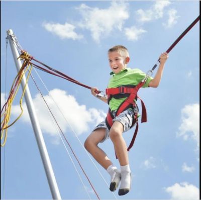 Bungeefly