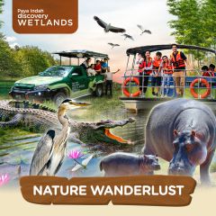 Nature Wanderlust